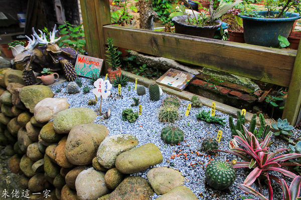 IMG_0519.jpg IMG_0519.jpg