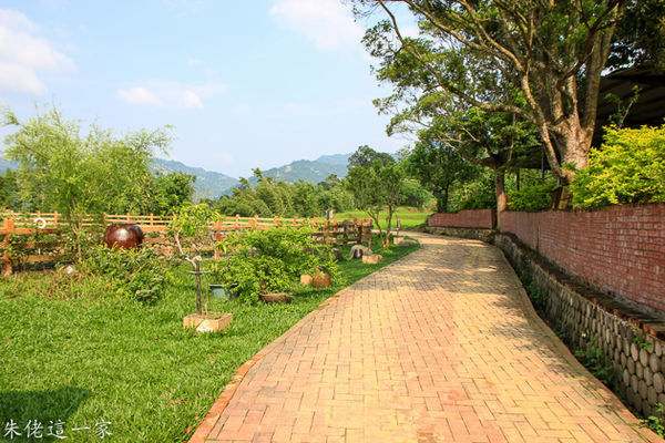 IMG_0528.jpg IMG_0528.jpg