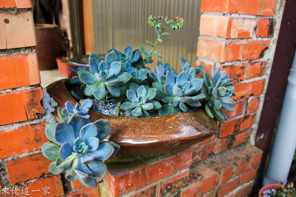 IMG_0544.jpg IMG_0544.jpg