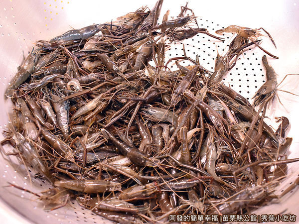 秀菊小吃坊10-活蹦蹦的溪蝦.JPG