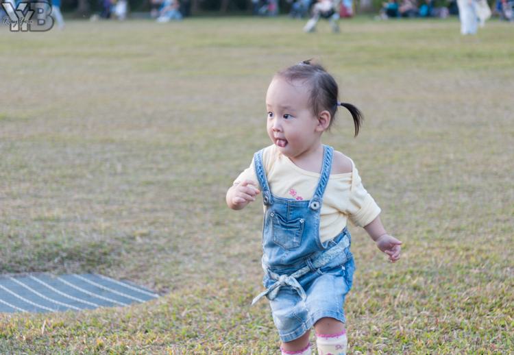 [北部旅遊] 綠世界生態農場 Green World．草泥馬軍團好吸睛