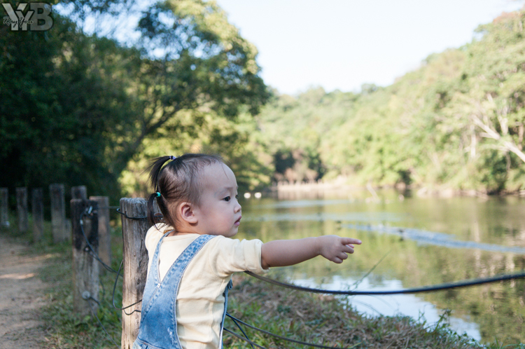 [北部旅遊] 綠世界生態農場 Green World．草泥馬軍團好吸睛