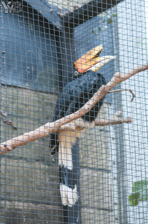 [北部旅遊] 綠世界生態農場 Green World．草泥馬軍團好吸睛