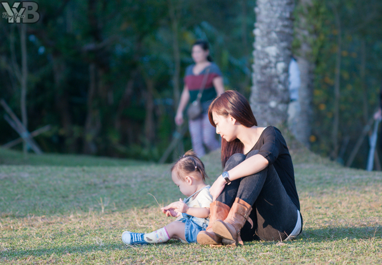 [北部旅遊] 綠世界生態農場 Green World．草泥馬軍團好吸睛