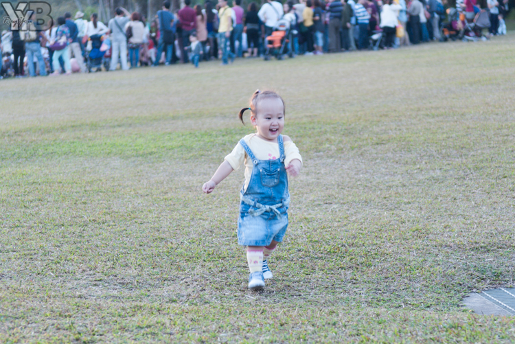[北部旅遊] 綠世界生態農場 Green World．草泥馬軍團好吸睛