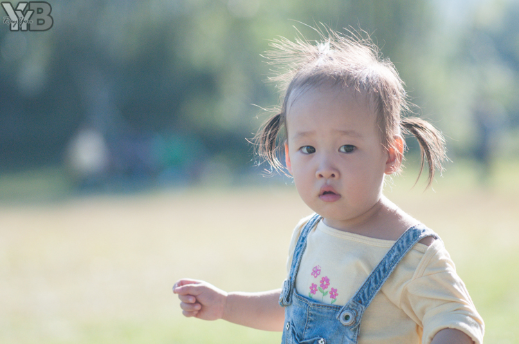[北部旅遊] 綠世界生態農場 Green World．草泥馬軍團好吸睛