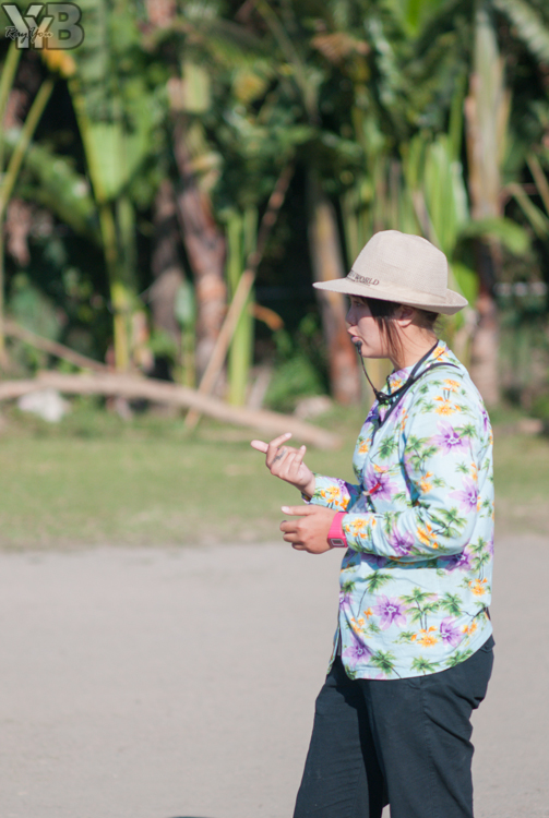 [北部旅遊] 綠世界生態農場 Green World．草泥馬軍團好吸睛