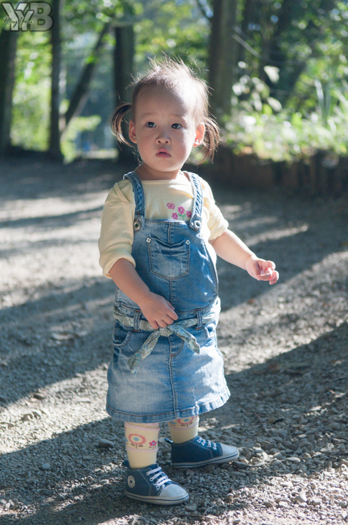 [北部旅遊] 綠世界生態農場 Green World．草泥馬軍團好吸睛