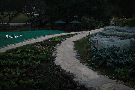 IMG_4955.JPG IMG_4955.JPG