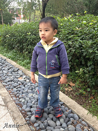 IMG_6317.jpg IMG_6317.jpg