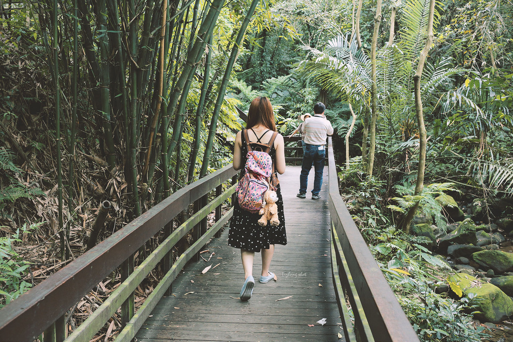 這淡淡的詩意襲上之桐花公園 這淡淡的詩意襲上之桐花公園