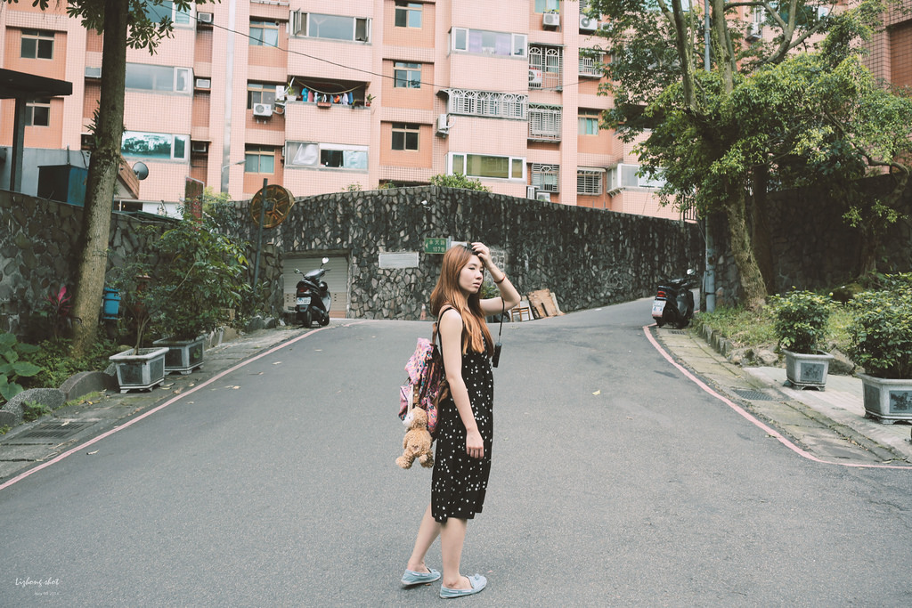 這淡淡的詩意襲上之桐花公園 這淡淡的詩意襲上之桐花公園