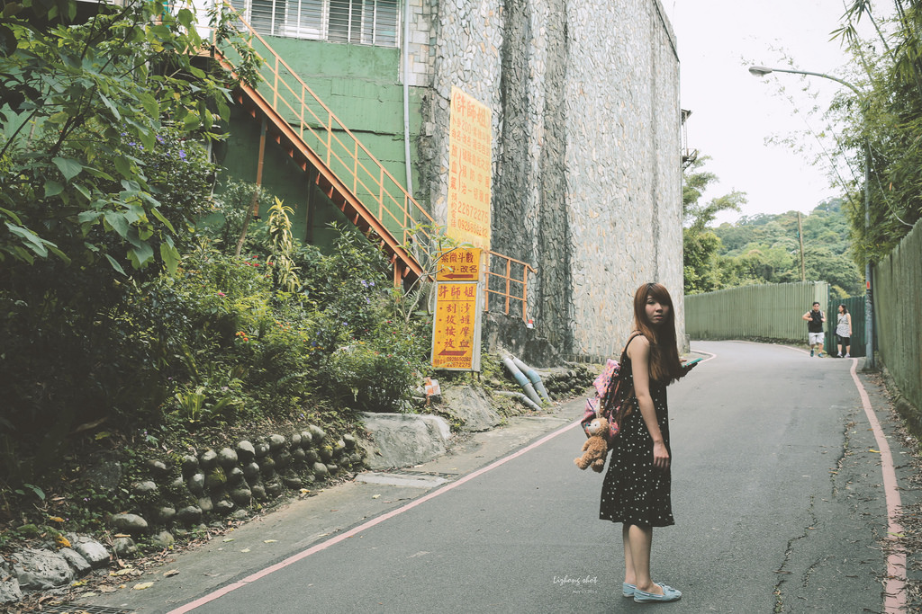 這淡淡的詩意襲上之桐花公園 這淡淡的詩意襲上之桐花公園