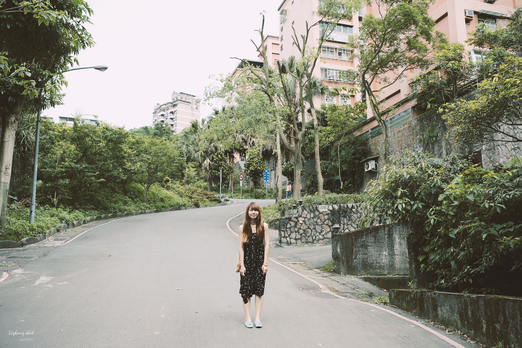 這淡淡的詩意襲上之桐花公園 這淡淡的詩意襲上之桐花公園