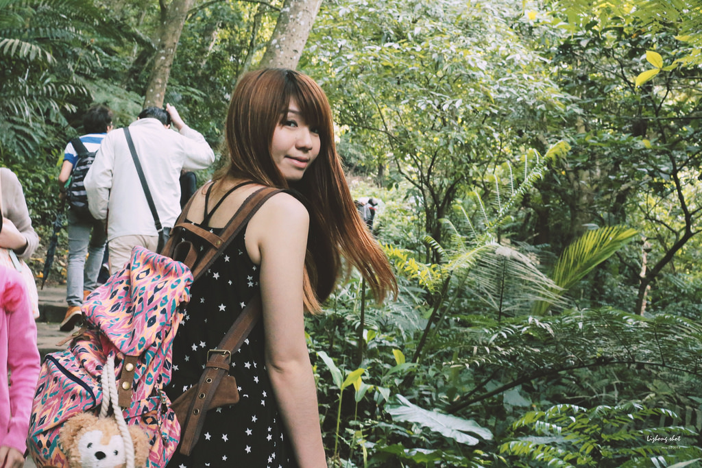 這淡淡的詩意襲上之桐花公園 這淡淡的詩意襲上之桐花公園