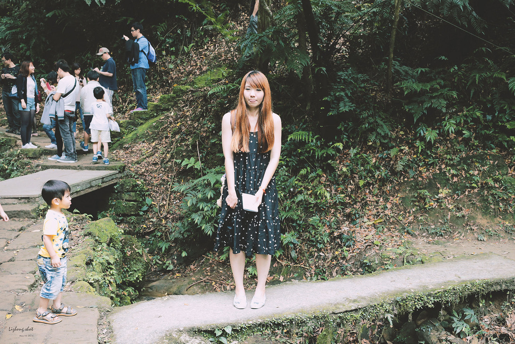 這淡淡的詩意襲上之桐花公園 這淡淡的詩意襲上之桐花公園