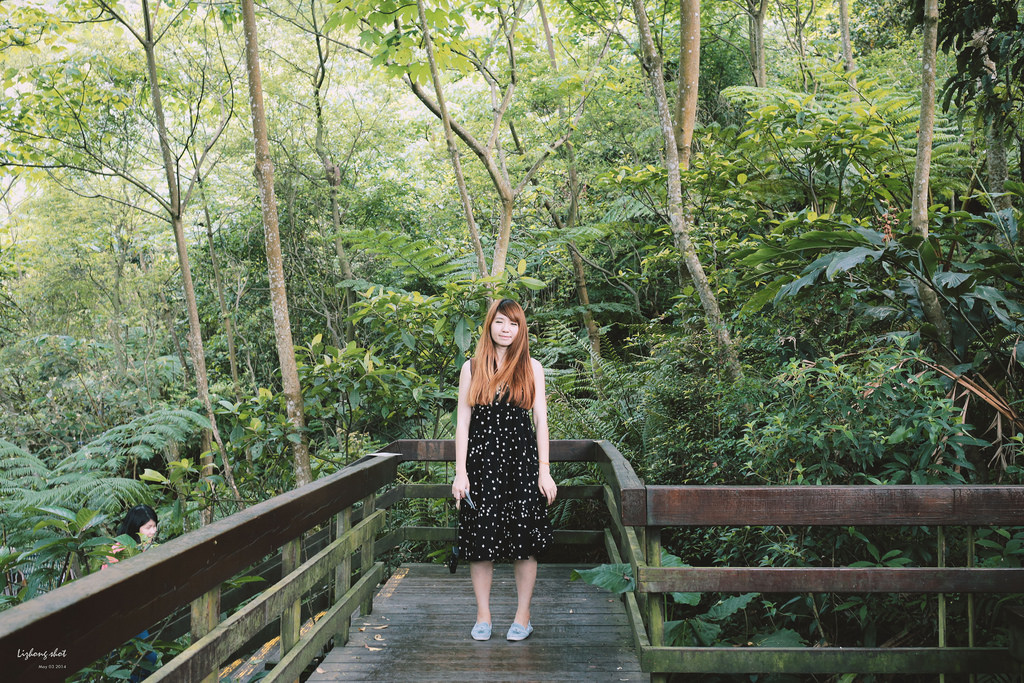 這淡淡的詩意襲上之桐花公園 這淡淡的詩意襲上之桐花公園