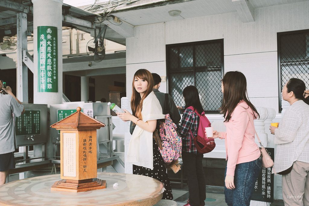 這淡淡的詩意襲上之桐花公園 這淡淡的詩意襲上之桐花公園