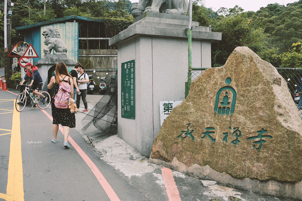 這淡淡的詩意襲上之桐花公園 這淡淡的詩意襲上之桐花公園