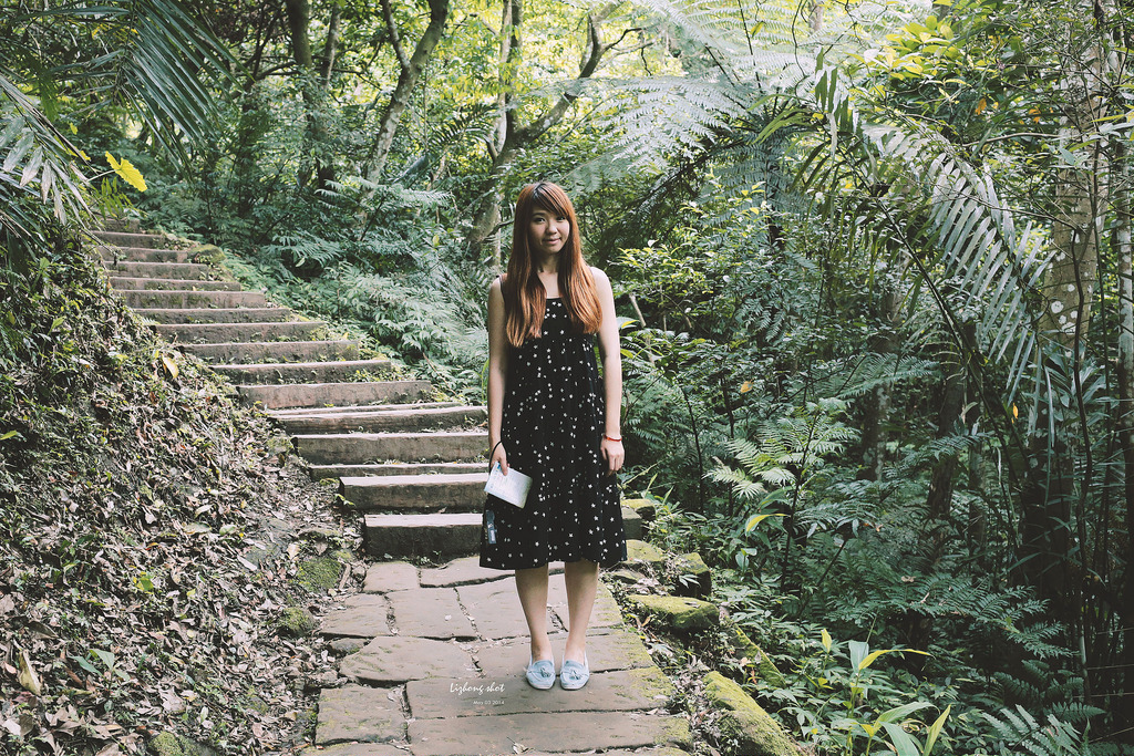 這淡淡的詩意襲上之桐花公園 這淡淡的詩意襲上之桐花公園