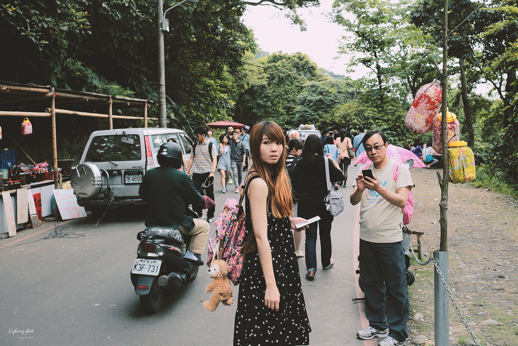 這淡淡的詩意襲上之桐花公園 這淡淡的詩意襲上之桐花公園