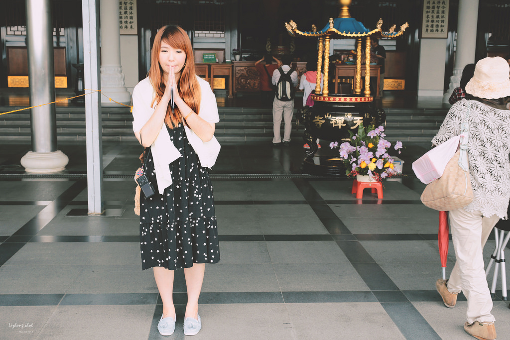 這淡淡的詩意襲上之桐花公園 這淡淡的詩意襲上之桐花公園