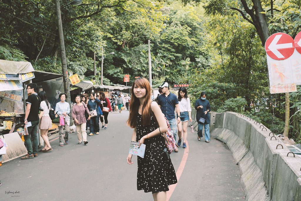 這淡淡的詩意襲上之桐花公園 這淡淡的詩意襲上之桐花公園