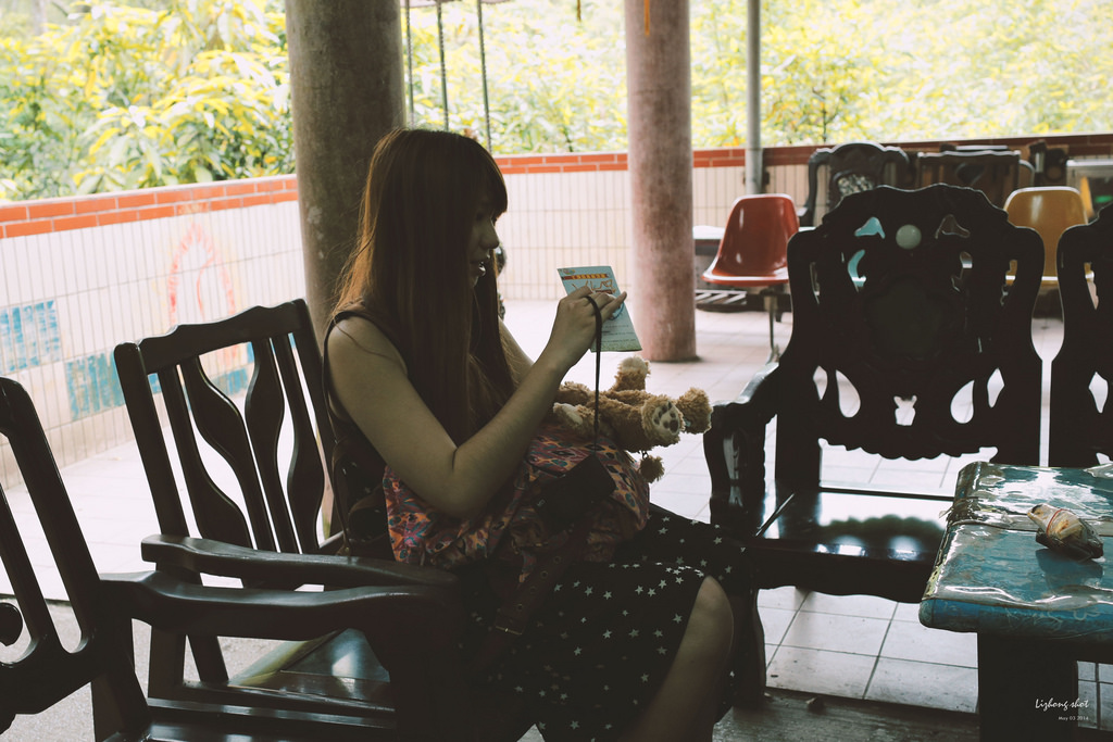 這淡淡的詩意襲上之桐花公園 這淡淡的詩意襲上之桐花公園