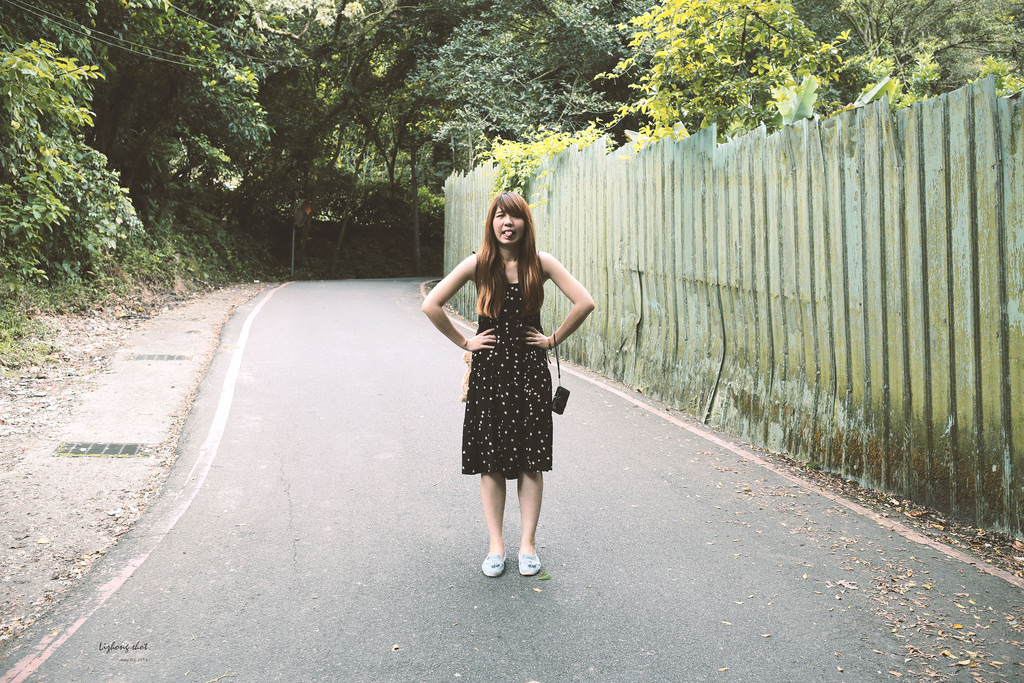 這淡淡的詩意襲上之桐花公園 這淡淡的詩意襲上之桐花公園