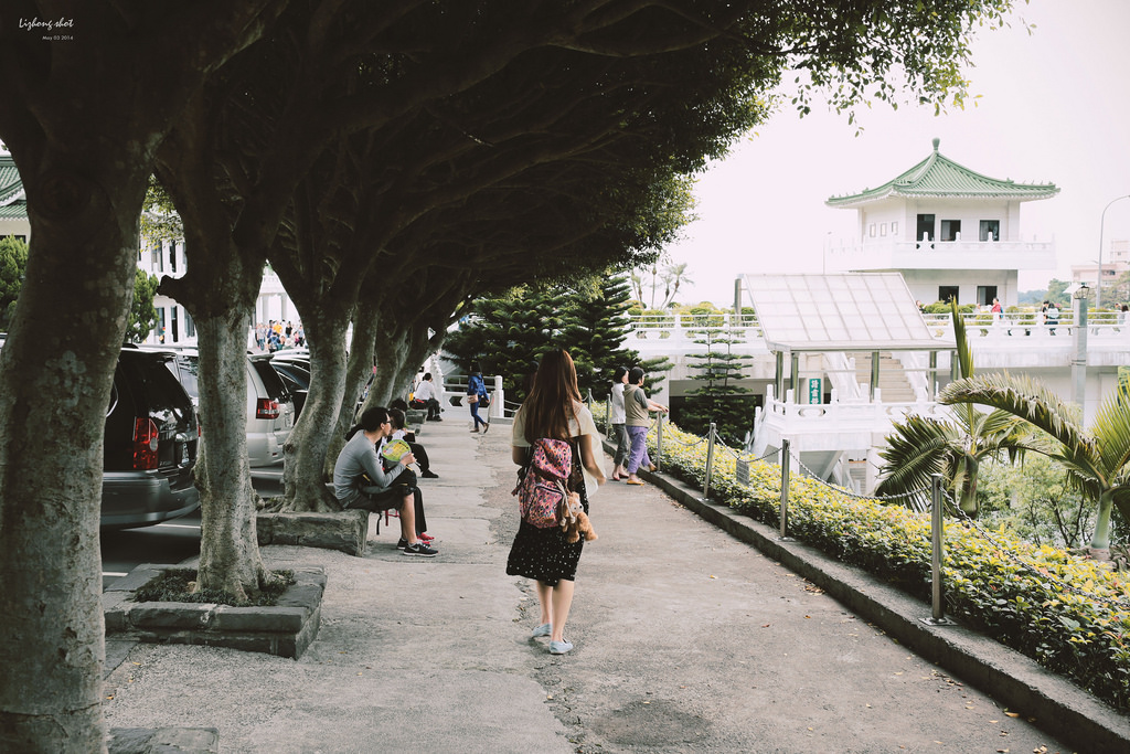 這淡淡的詩意襲上之桐花公園 這淡淡的詩意襲上之桐花公園