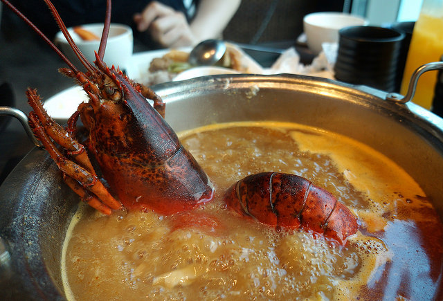 聚北海道昆布鍋(台北衡陽店)：聚北海道昆布鍋-台北衡陽店 ♥ 王品集團高人氣火鍋 ♥ 愛評體驗團