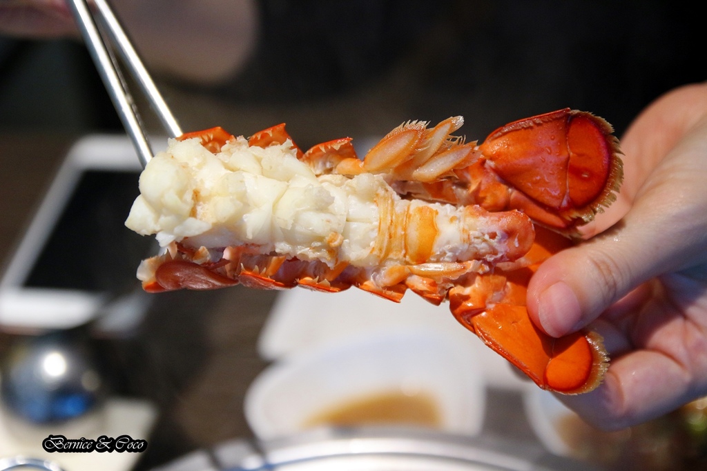 IMG_0003.JPG IMG_0003.JPG