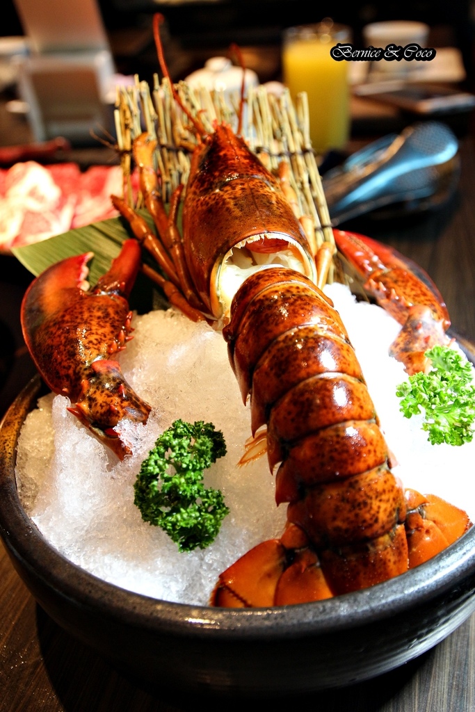 IMG_9974.JPG IMG_9974.JPG