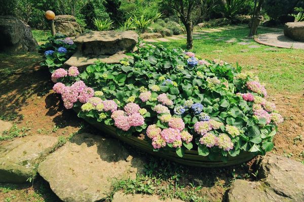 容園谷景觀渡假山莊：小資上班族的下班提案 旅遊提案 X 容園谷