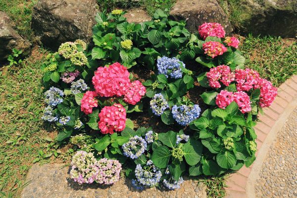 容園谷景觀渡假山莊：小資上班族的下班提案 旅遊提案 X 容園谷