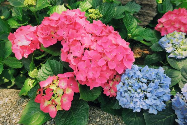 容園谷景觀渡假山莊：小資上班族的下班提案 旅遊提案 X 容園谷