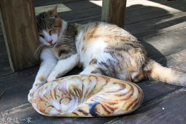 IMG_0205.jpg IMG_0205.jpg