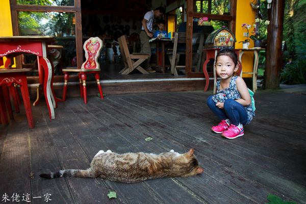 IMG_0216.jpg IMG_0216.jpg