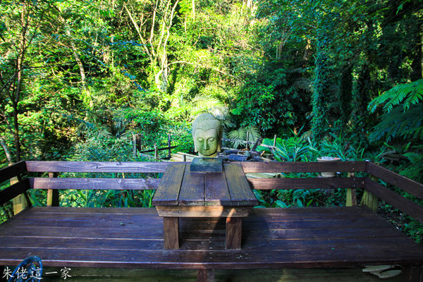 IMG_0284.jpg IMG_0284.jpg