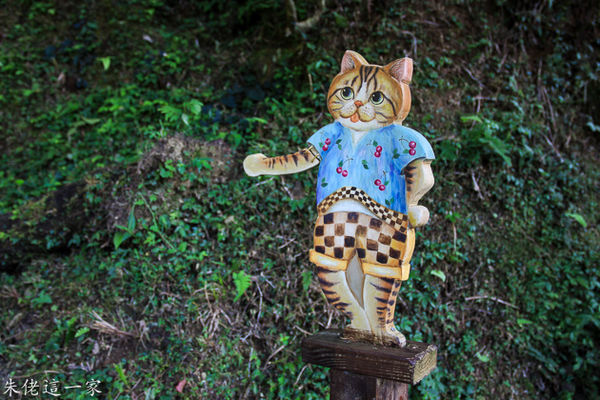 IMG_0287.jpg IMG_0287.jpg