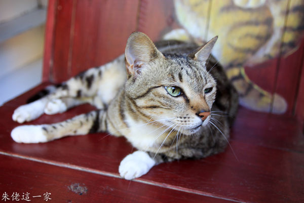 IMG_0136.jpg IMG_0136.jpg