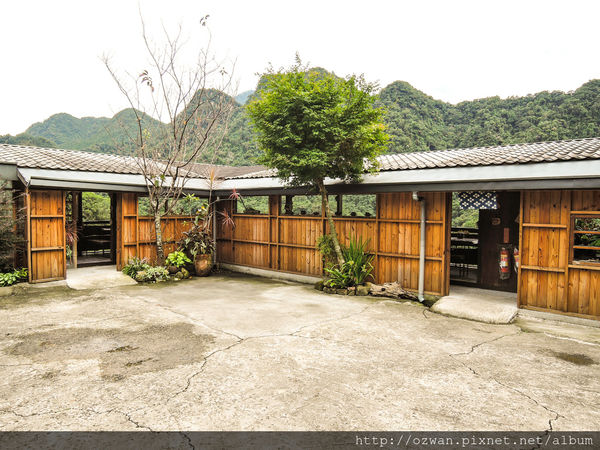 [吃喝]寄情於山野間的閒雲野鶴～山行玫瑰。