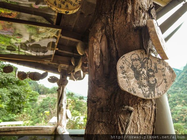 [吃喝]寄情於山野間的閒雲野鶴～山行玫瑰。