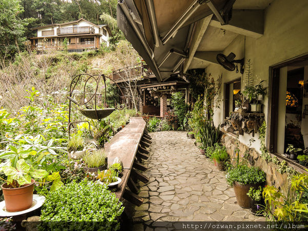 [吃喝]寄情於山野間的閒雲野鶴～山行玫瑰。