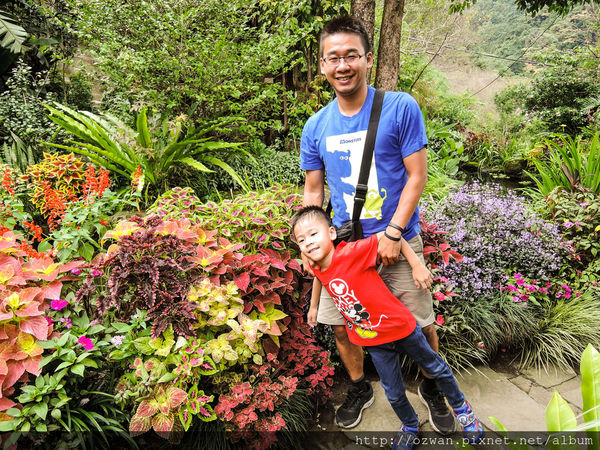 [吃喝]寄情於山野間的閒雲野鶴～山行玫瑰。