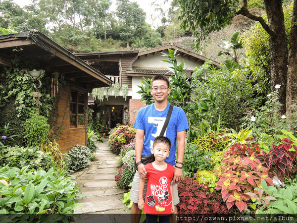 [吃喝]寄情於山野間的閒雲野鶴～山行玫瑰。