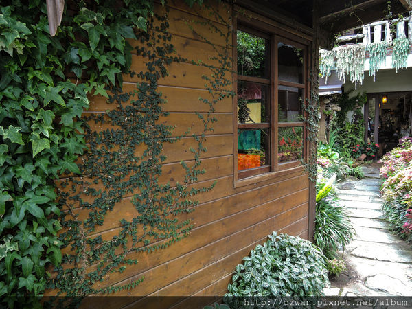 [吃喝]寄情於山野間的閒雲野鶴～山行玫瑰。