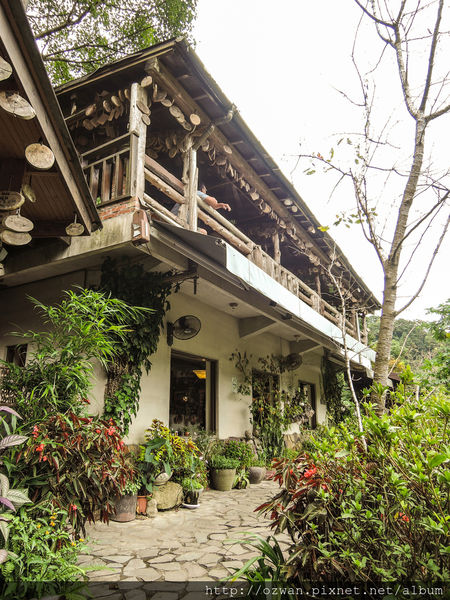 [吃喝]寄情於山野間的閒雲野鶴～山行玫瑰。