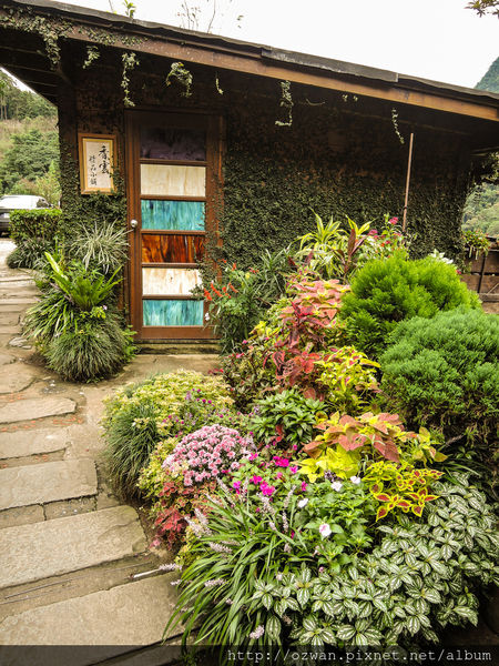 [吃喝]寄情於山野間的閒雲野鶴～山行玫瑰。