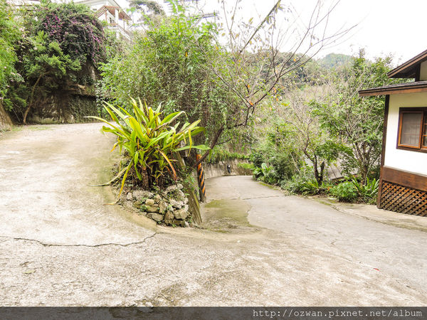 [吃喝]寄情於山野間的閒雲野鶴～山行玫瑰。